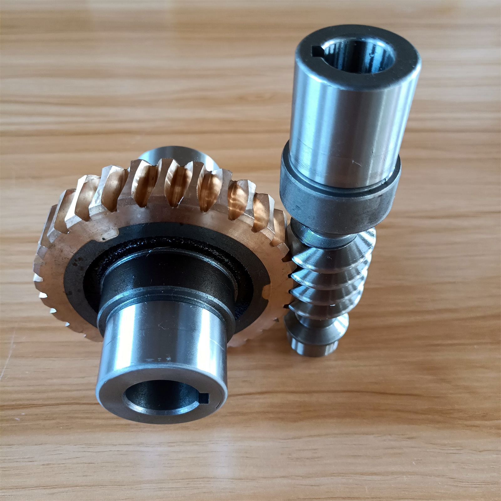 Worm Gear &amp; Worm Reducer