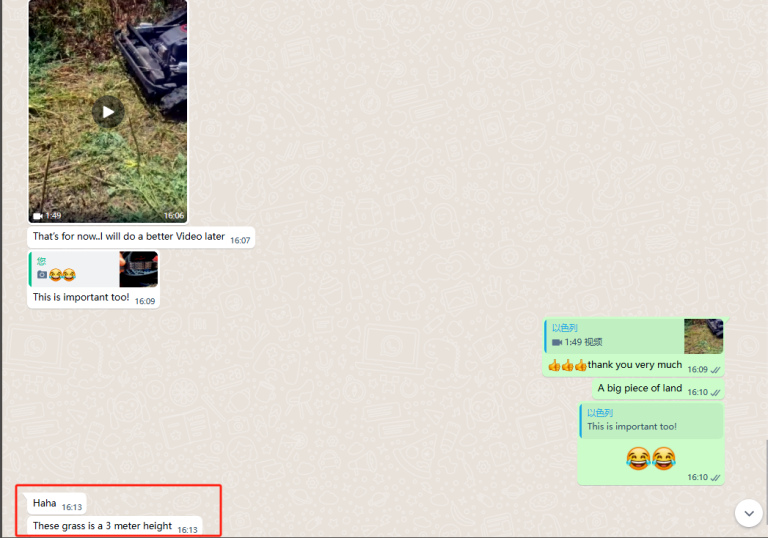 Weeding An Overgrown Orchard: Joyance strong remote JT800 Brushless Mower In Action